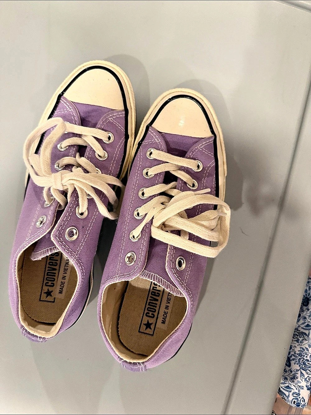 Converse Chuck Taylor All Star Low Top Sneakers in Purple & Cream